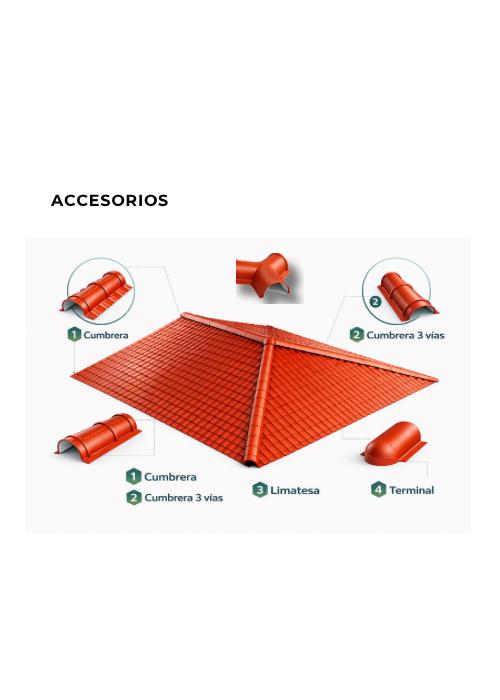 WhatsApp Image 2026-02-20 at 1.06.47 PM